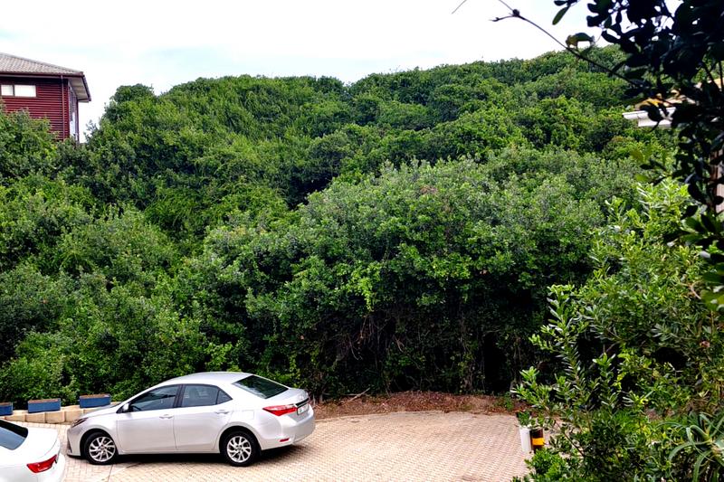 0 Bedroom Property for Sale in Dwarswegstrand Western Cape